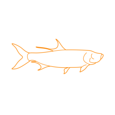 Animals Saltwater Fish Atlantic Tarpon Clean Outline Svg Vector, Free Vectors File